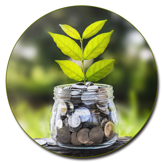 Savings jar with growing leaves